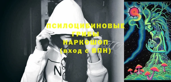 спиды Алексин