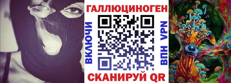 Галлюциногенные грибы Cubensis  Ахтырский 